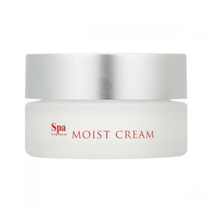 Spa Treatment ABSO Moist Cream 30g